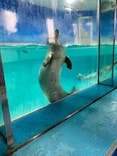 下田海中水族館に投稿された画像（2022/8/11）