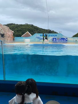 下田海中水族館に投稿された画像（2022/8/11）
