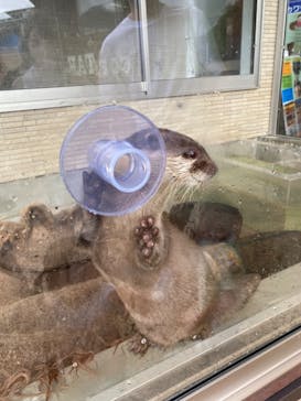 下田海中水族館に投稿された画像（2022/8/11）