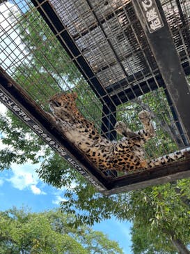 群馬サファリパークに投稿された画像（2022/8/11）