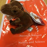 国立科学博物館に投稿された画像（2022/8/11）