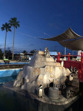 南知多ビーチランド＆南知多おもちゃ王国に投稿された画像（2022/8/11）