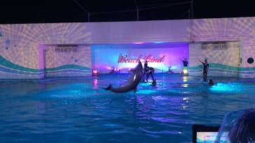 南知多ビーチランド＆南知多おもちゃ王国に投稿された画像（2022/8/11）