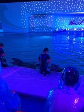 南知多ビーチランド＆南知多おもちゃ王国に投稿された画像（2022/8/11）