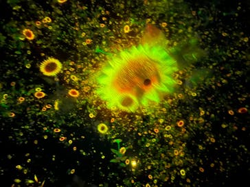 チームラボプラネッツ TOKYO DMMに投稿された画像（2022/8/11）