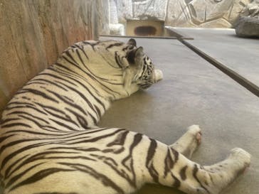 姫路セントラルパークに投稿された画像（2022/8/11）