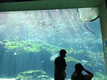 九十九島水族館海きららに投稿された画像（2022/8/11）