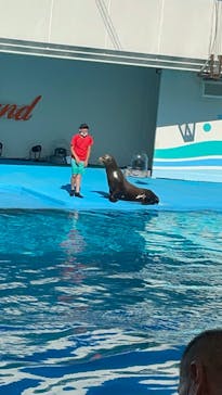 南知多ビーチランド＆南知多おもちゃ王国に投稿された画像（2022/8/11）