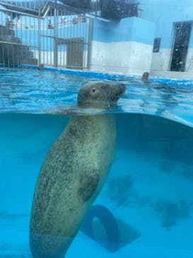 南知多ビーチランド＆南知多おもちゃ王国に投稿された画像（2022/8/11）