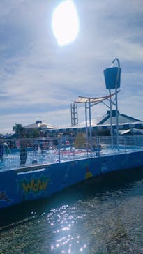 蓮沼ウォーターガーデンに投稿された画像（2022/8/11）