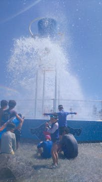 蓮沼ウォーターガーデンに投稿された画像（2022/8/11）