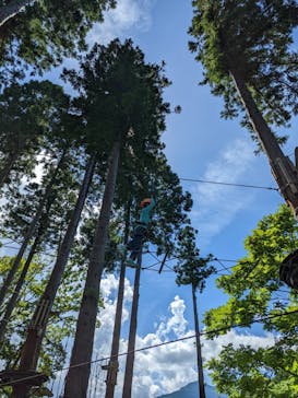 ロッテアライリゾートに投稿された画像（2022/8/11）