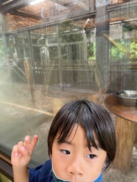 熱川バナナワニ園に投稿された画像（2022/8/12）