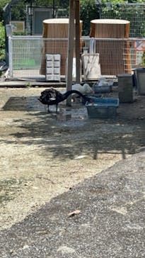 東武動物公園に投稿された画像（2022/8/12）