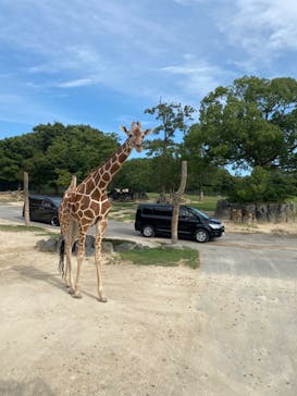 姫路セントラルパークに投稿された画像（2022/8/12）