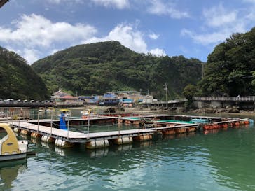 下田海中水族館に投稿された画像（2022/8/12）