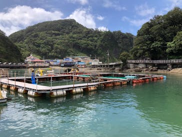 下田海中水族館に投稿された画像（2022/8/12）