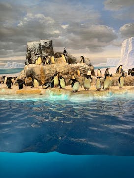 名古屋港水族館に投稿された画像（2022/8/12）