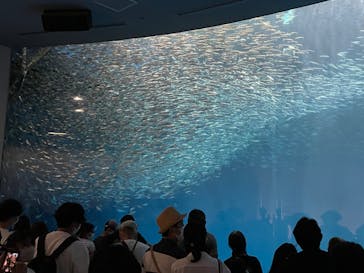 名古屋港水族館に投稿された画像（2022/8/12）