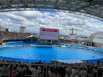 名古屋港水族館に投稿された画像（2022/8/12）