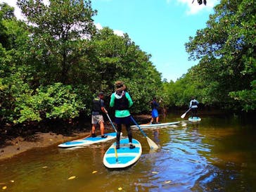 西表島 ADVENTURE PiPi（アドベンチャーピピ）に投稿された画像（2022/8/12）