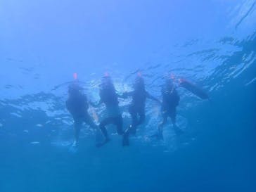 西表島 ADVENTURE PiPi（アドベンチャーピピ）に投稿された画像（2022/8/12）