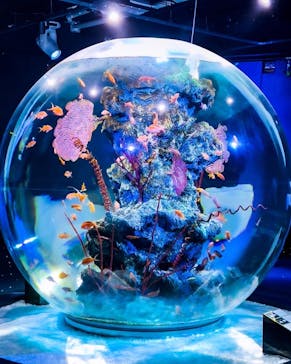 felissimo chocolate museum（フェリシモチョコレートミュージアム）に投稿された画像（2022/8/12）