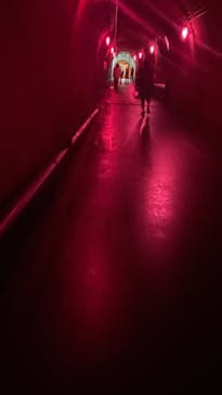 清津峡渓谷トンネルに投稿された画像（2022/8/12）