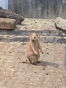 伊豆シャボテン動物公園に投稿された画像（2022/8/12）