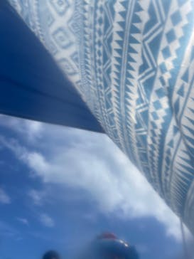 蓮沼ウォーターガーデンに投稿された画像（2022/8/12）