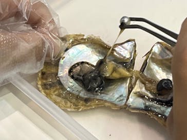 名古屋港水族館に投稿された画像（2022/8/12）