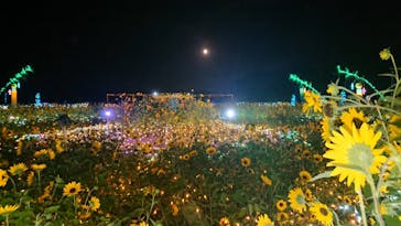 せんだい農業園芸センター　みどりの杜に投稿された画像（2022/8/12）