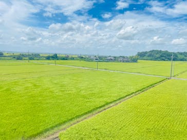 成田の命泉　大和の湯に投稿された画像（2022/8/12）