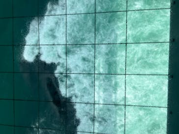 徳島県立 渦の道に投稿された画像（2022/8/12）