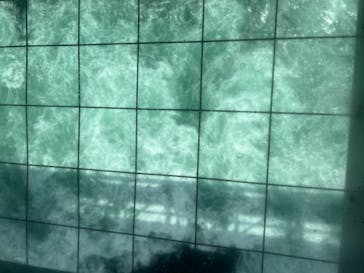 徳島県立 渦の道に投稿された画像（2022/8/12）