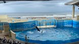 新江ノ島水族館に投稿された画像（2022/8/12）