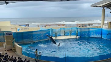 新江ノ島水族館に投稿された画像（2022/8/12）