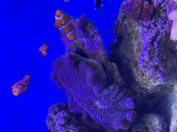 新江ノ島水族館に投稿された画像（2022/8/12）