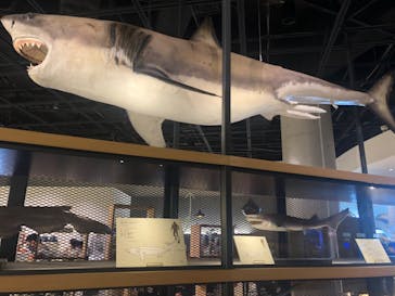 アクアワールド茨城県大洗水族館に投稿された画像（2022/8/12）