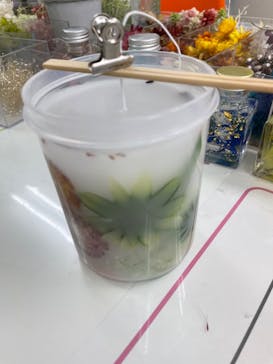 ずこうしつ〜sugamo〜に投稿された画像（2022/8/12）