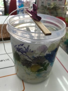 ずこうしつ〜sugamo〜に投稿された画像（2022/8/12）