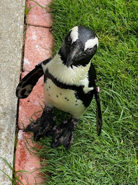 マリンワールド海の中道に投稿された画像（2022/8/12）