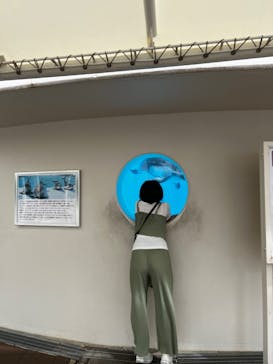 マリンワールド海の中道に投稿された画像（2022/8/12）