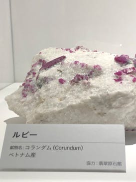 特別展「宝石　地球がうみだすキセキ」（名古屋市科学館　理工館地下２階イベントホール）に投稿された画像（2022/8/12）