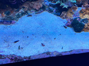 サンシャイン水族館に投稿された画像（2022/8/12）