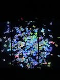 森ビル デジタルアート ミュージアム：エプソン チームラボボーダレスに投稿された画像（2022/8/12）