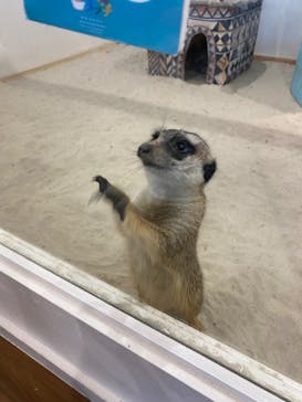 アニタッチみなとみらいに投稿された画像（2022/8/12）