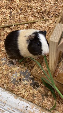 アニタッチみなとみらいに投稿された画像（2022/8/12）