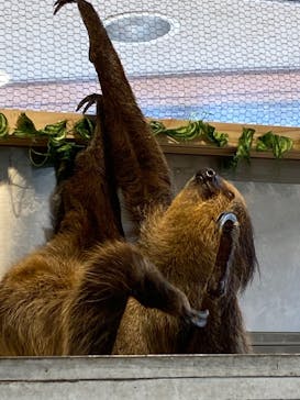 アニタッチみなとみらいに投稿された画像（2022/8/12）