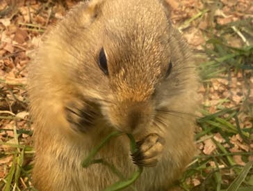 アニタッチみなとみらいに投稿された画像（2022/8/12）